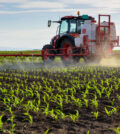 Farmer sprays crops.