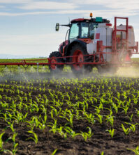 Farmer sprays crops.